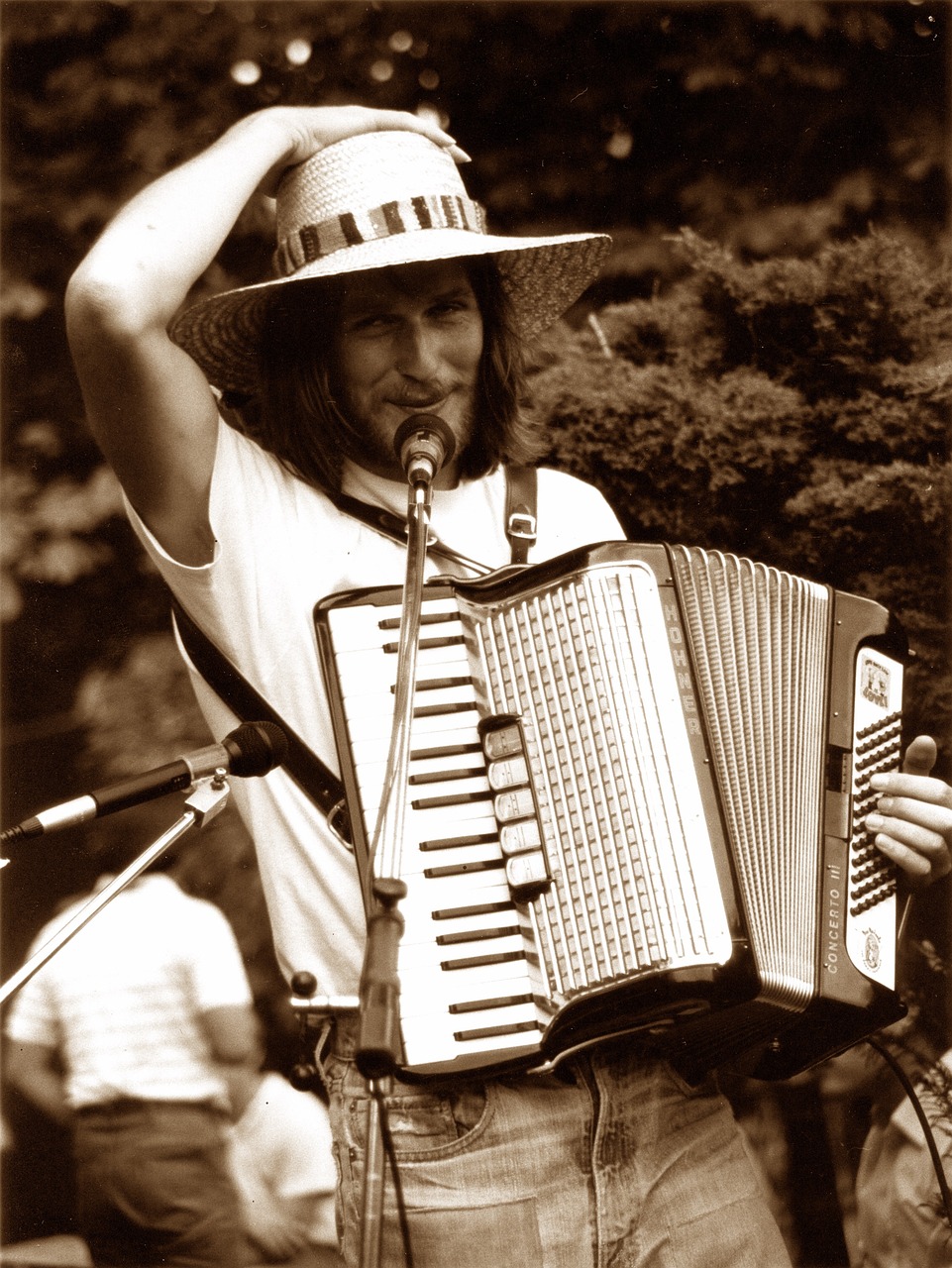 accordion, music, man-727193.jpg